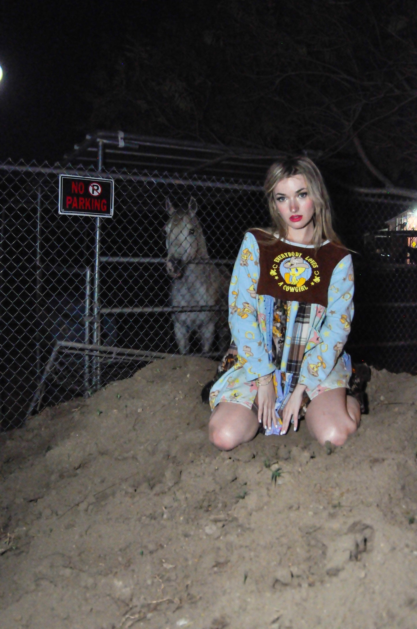 everybody loves a cowgirl dress