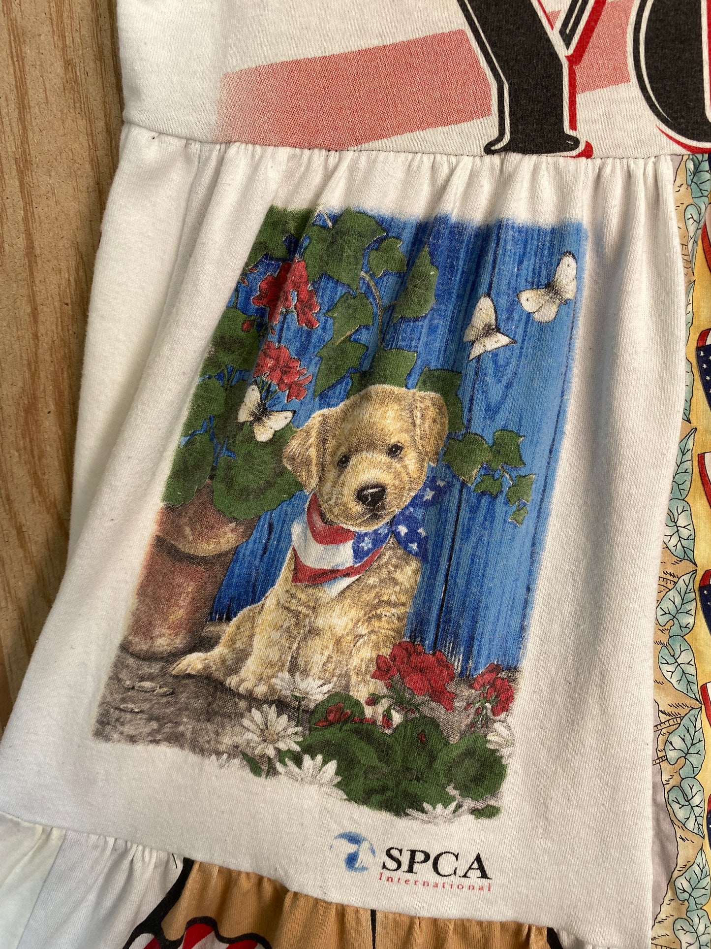 bbq america dress