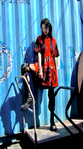 dragonfly dress