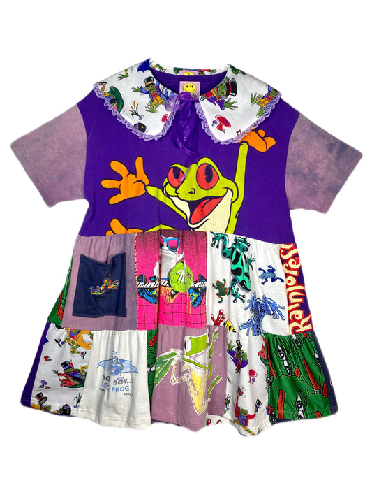 frog set